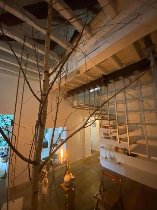 Apartamento Casa Degli Alberi Turín Exterior foto