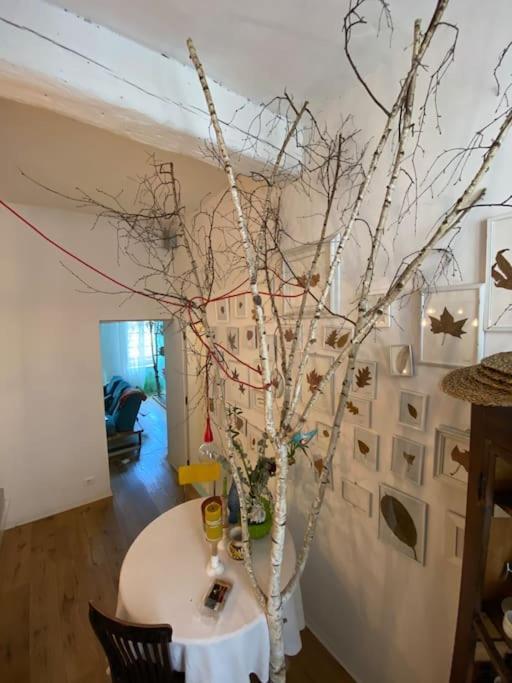 Apartamento Casa Degli Alberi Turín Exterior foto