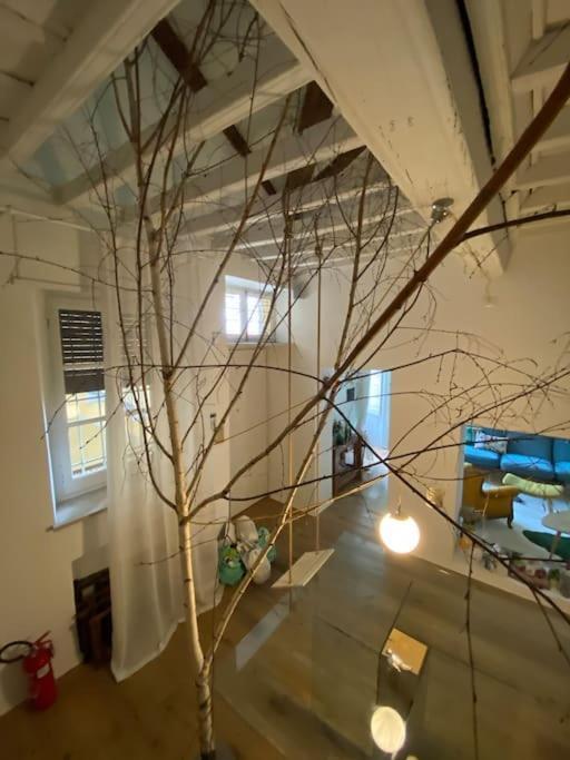 Apartamento Casa Degli Alberi Turín Exterior foto