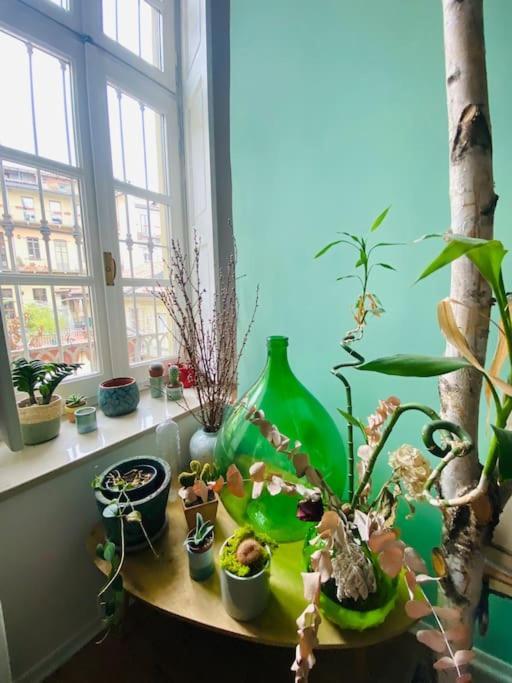 Apartamento Casa Degli Alberi Turín Exterior foto